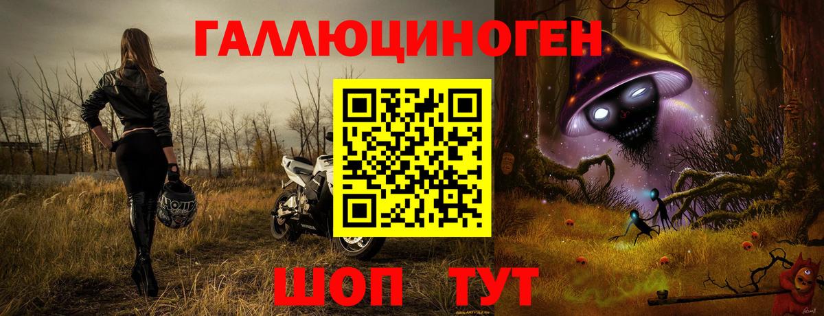 Псилоцибиновые грибы мицелий Кулебаки