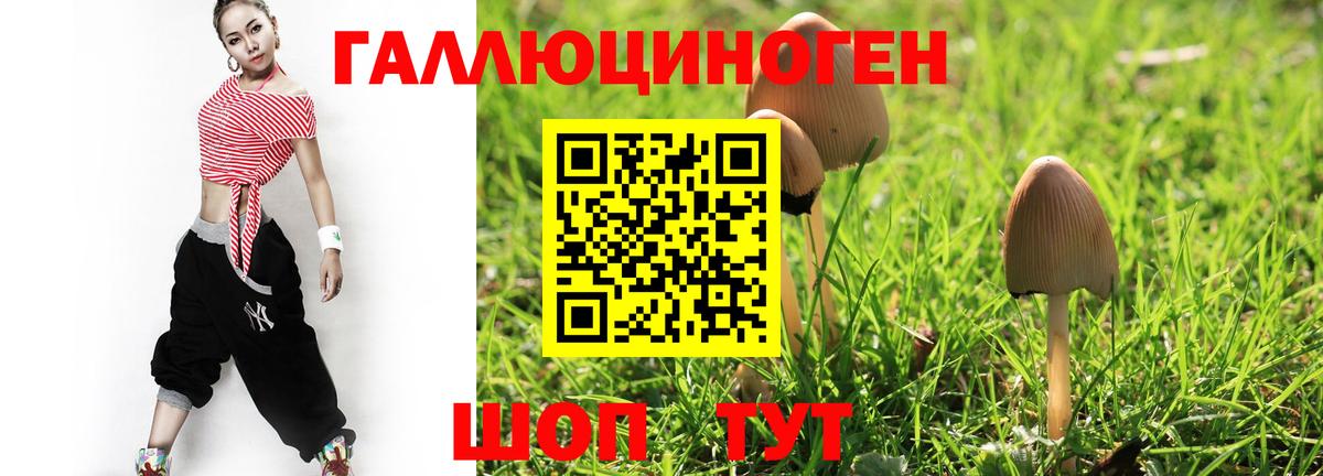 Кулебаки  Псилоцибиновые грибы прущие грибы  Вход с VPN 